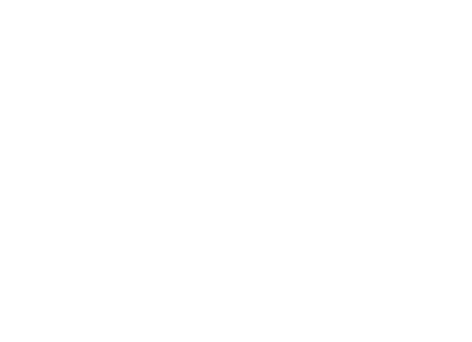 Logo HokenFi